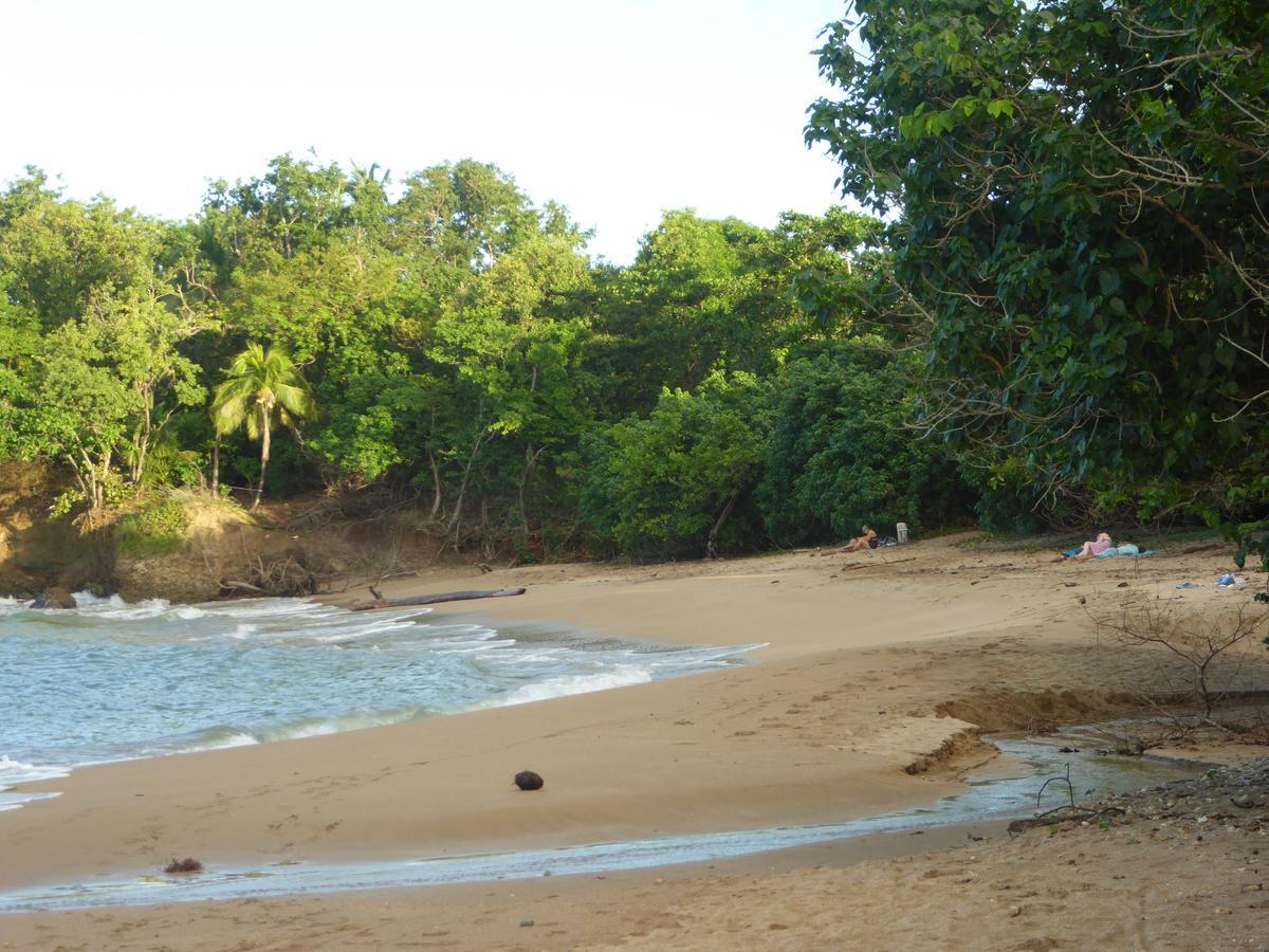 Coco Bungalows Sainte-Rose Buitenkant foto