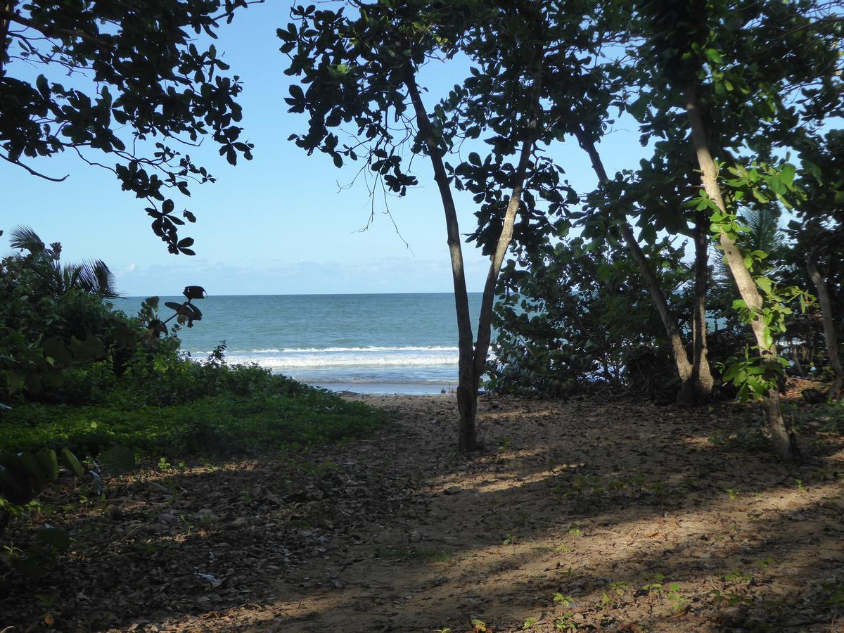 Coco Bungalows Sainte-Rose Buitenkant foto