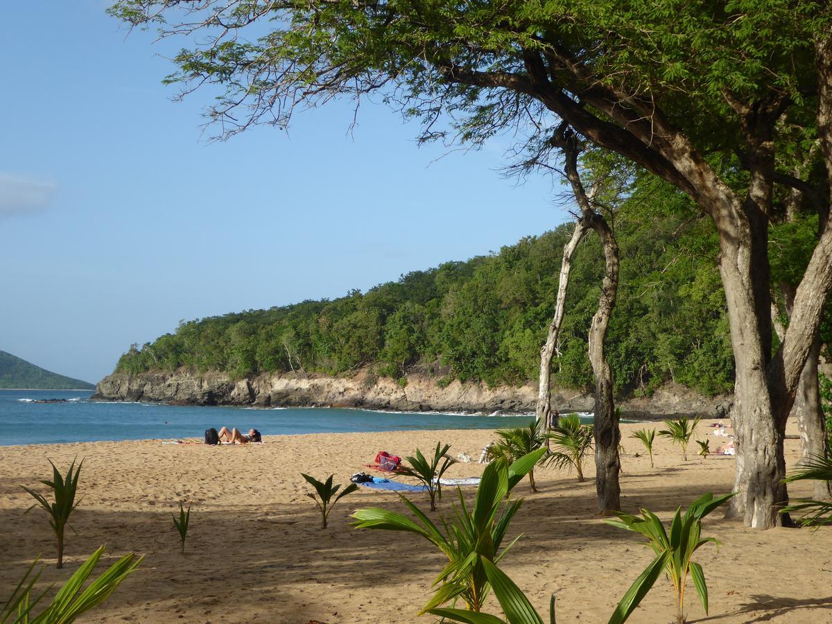 Coco Bungalows Sainte-Rose Buitenkant foto